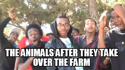 the-animals-after-they-take-over-the-farm