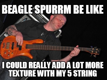 beagle-spurrm-be-like-i-could-really-add-a-lot-more-texture-with-my-5-string