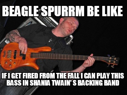 beagle-spurrm-be-like-if-i-get-fired-from-the-fall-i-can-play-this-bass-in-shani