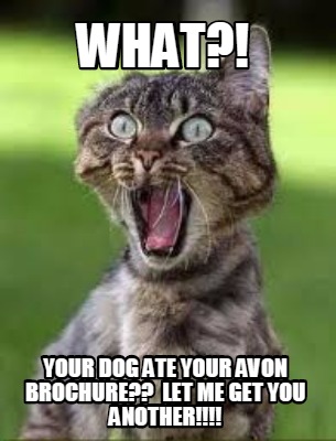 what-your-dog-ate-your-avon-brochure-let-me-get-you-another