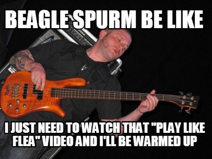beagle-spurm-be-like-i-just-need-to-watch-that-play-like-flea-video-and-ill-be-w