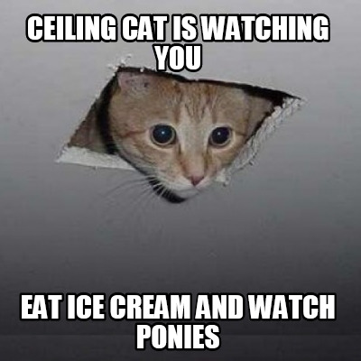 ceiling-cat-is-watching-you-eat-ice-cream-and-watch-ponies