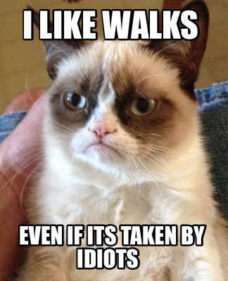 i-like-walks-even-if-its-taken-by-idiots