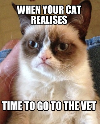 when-your-cat-realises-time-to-go-to-the-vet