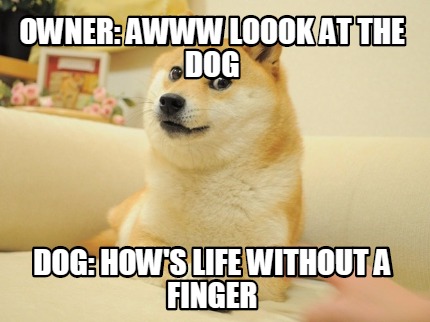 owner-awww-loook-at-the-dog-dog-hows-life-without-a-finger