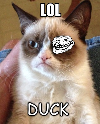 lol-duck