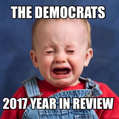 the-democrats-2017-year-in-review