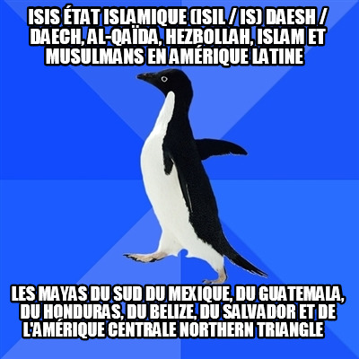 isis-tat-islamique-isil-is-daesh-daech-al-qada-hezbollah-islam-et-musulmans-en-a8