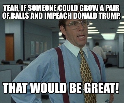yeah-if-someone-could-grow-a-pair-of-balls-and-impeach-donald-trump-that-would-b