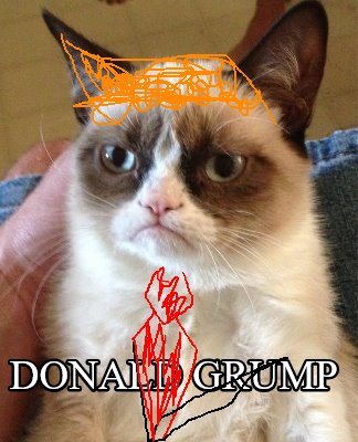 donald-grump