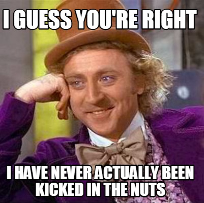 i-guess-youre-right-i-have-never-actually-been-kicked-in-the-nuts