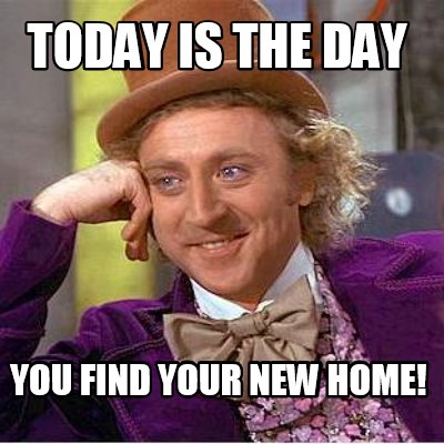 today-is-the-day-you-find-your-new-home