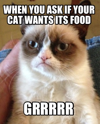 when-you-ask-if-your-cat-wants-its-food-grrrrr