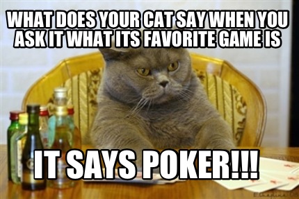 what-does-your-cat-say-when-you-ask-it-what-its-favorite-game-is-it-says-poker