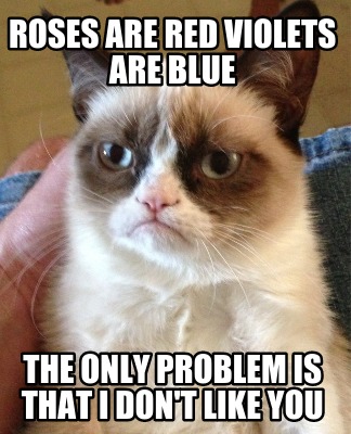 roses-are-red-violets-are-blue-the-only-problem-is-that-i-dont-like-you