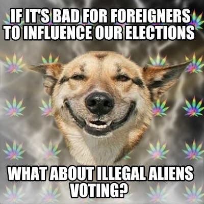 if-its-bad-for-foreigners-to-influence-our-elections-what-about-illegal-aliens-v