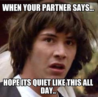 when-your-partner-says...-hope-its-quiet-like-this-all-day