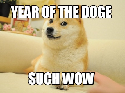 year-of-the-doge-such-wow