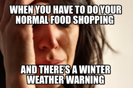 when-you-have-to-do-your-normal-food-shopping-and-theres-a-winter-weather-warnin