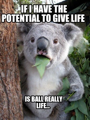 if-i-have-the-potential-to-give-life-is-ball-really-life