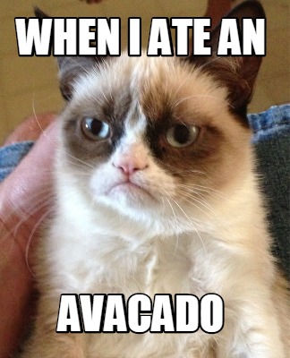 when-i-ate-an-avacado
