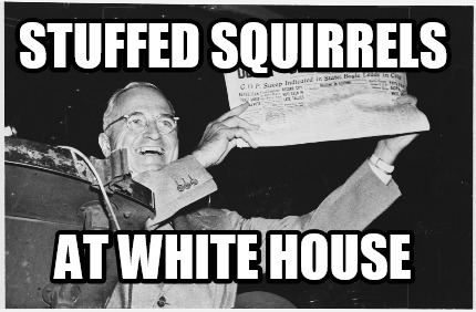 stuffed-squirrels-at-white-house