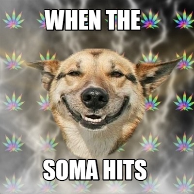 when-the-soma-hits