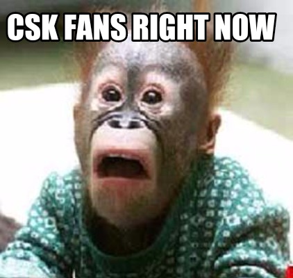 csk-fans-right-now
