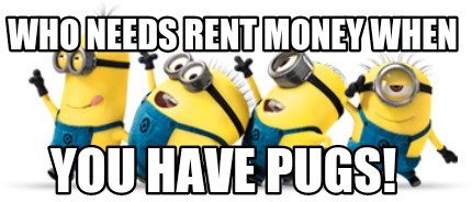 who-needs-rent-money-when-you-have-pugs