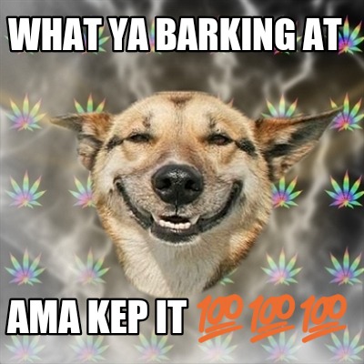 what-ya-barking-at-ama-kep-it-