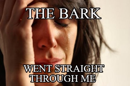 the-bark-went-straight-through-me