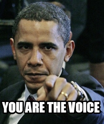 you-are-the-voice