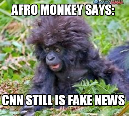 afro-monkey-says-cnn-still-is-fake-news