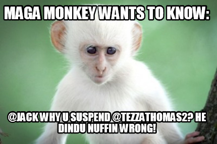 maga-monkey-wants-to-know-jack-why-u-suspend-tezzathomas2-he-dindu-nuffin-wrong