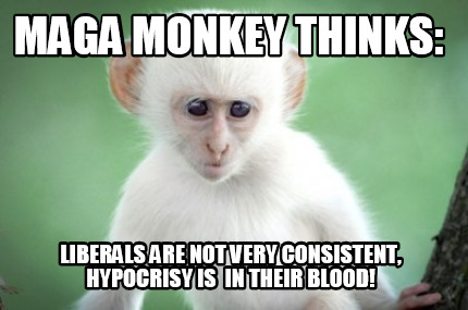 maga-monkey-thinks-liberals-are-not-very-consistent-hypocrisy-is-in-their-blood