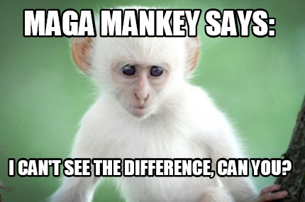 maga-mankey-says-i-cant-see-the-difference-can-you