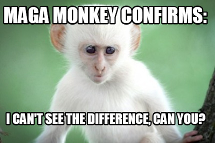 maga-monkey-confirms-i-cant-see-the-difference-can-you6