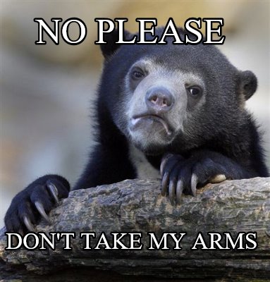no-please-dont-take-my-arms