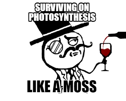 surviving-on-photosynthesis-like-a-moss