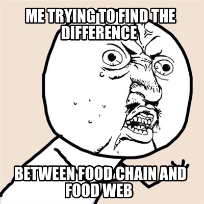 me-trying-to-find-the-difference-between-food-chain-and-food-web