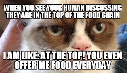when-you-see-your-human-discussing-they-are-in-the-top-of-the-food-chain-i-am-li