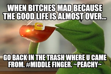 when-bitches-mad-because-the-good-life-is-almost-over...-go-back-in-the-trash-wh