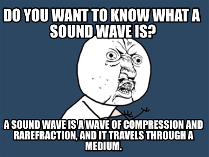 Meme Creator - Do you want to know what a sound wave is? A ...