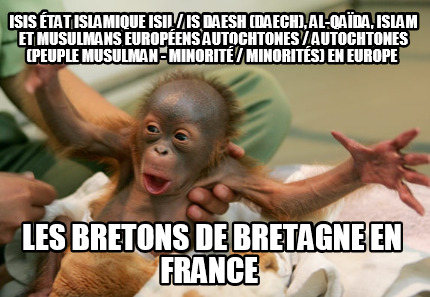 isis-tat-islamique-isil-is-daesh-daech-al-qada-islam-et-musulmans-europens-autoc222