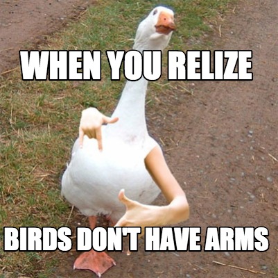 when-you-relize-birds-dont-have-arms