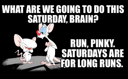 what-are-we-going-to-do-this-saturday-brain-run-pinky.-saturdays-are-for-long-ru