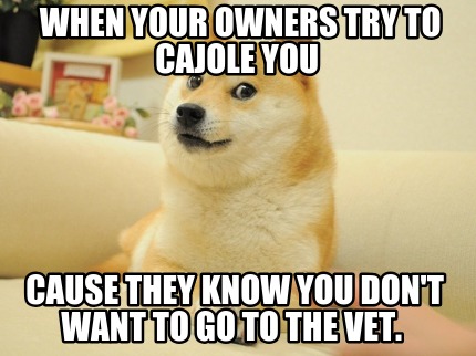 when-your-owners-try-to-cajole-you-cause-they-know-you-dont-want-to-go-to-the-ve