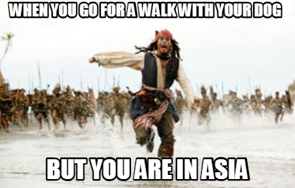when-you-go-for-a-walk-with-your-dog-but-you-are-in-asia
