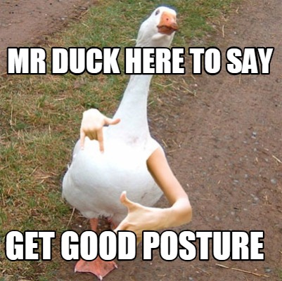 mr-duck-here-to-say-get-good-posture