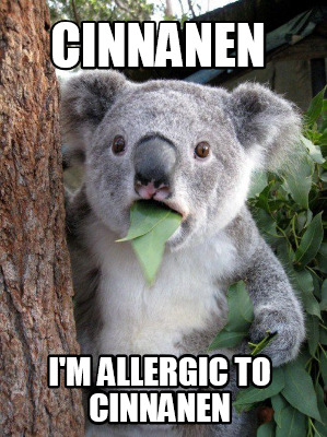 cinnanen-im-allergic-to-cinnanen
